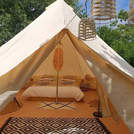 Tente Mongole 